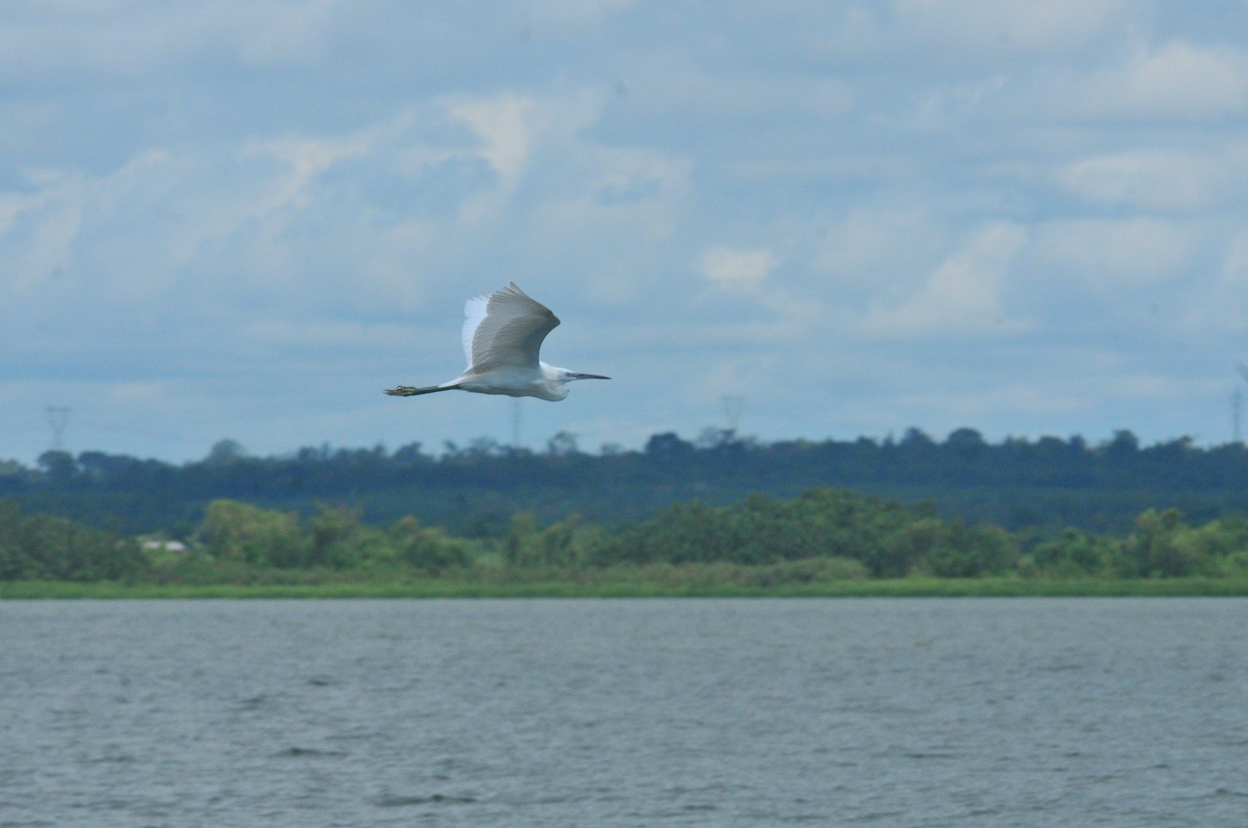 Lac Toho
